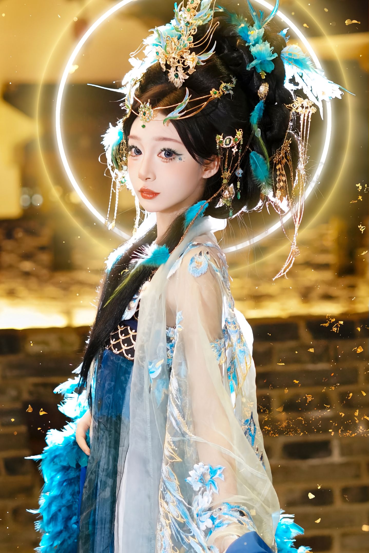 蓝孔雀 客片 1
