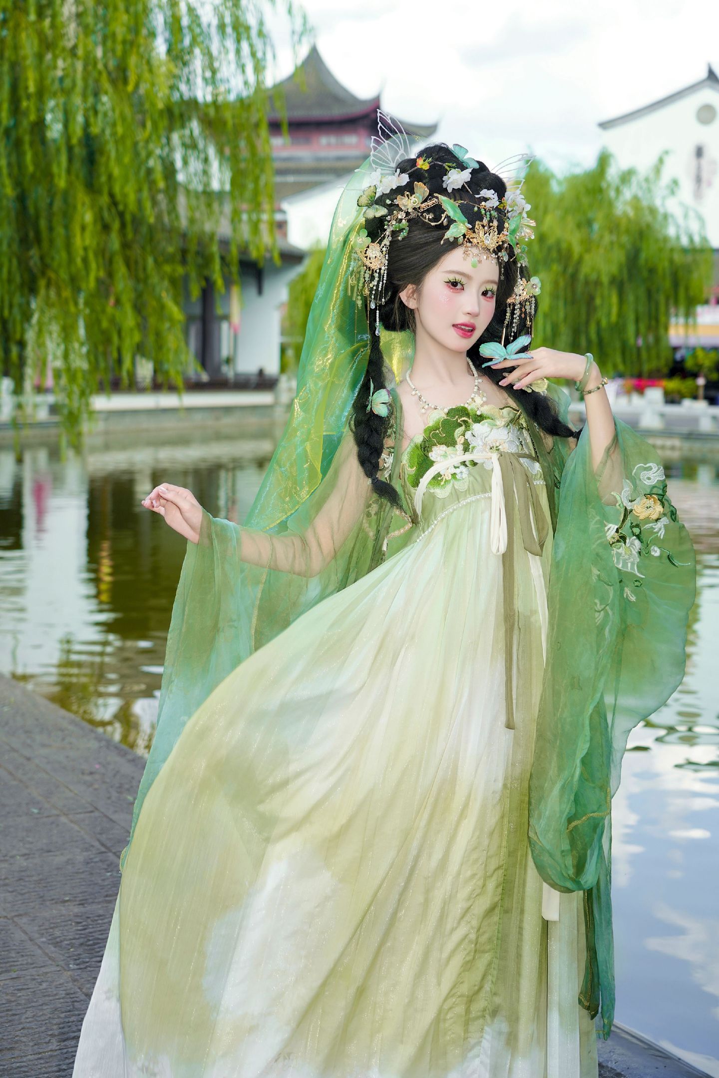 绿蝴蝶 客片 2
