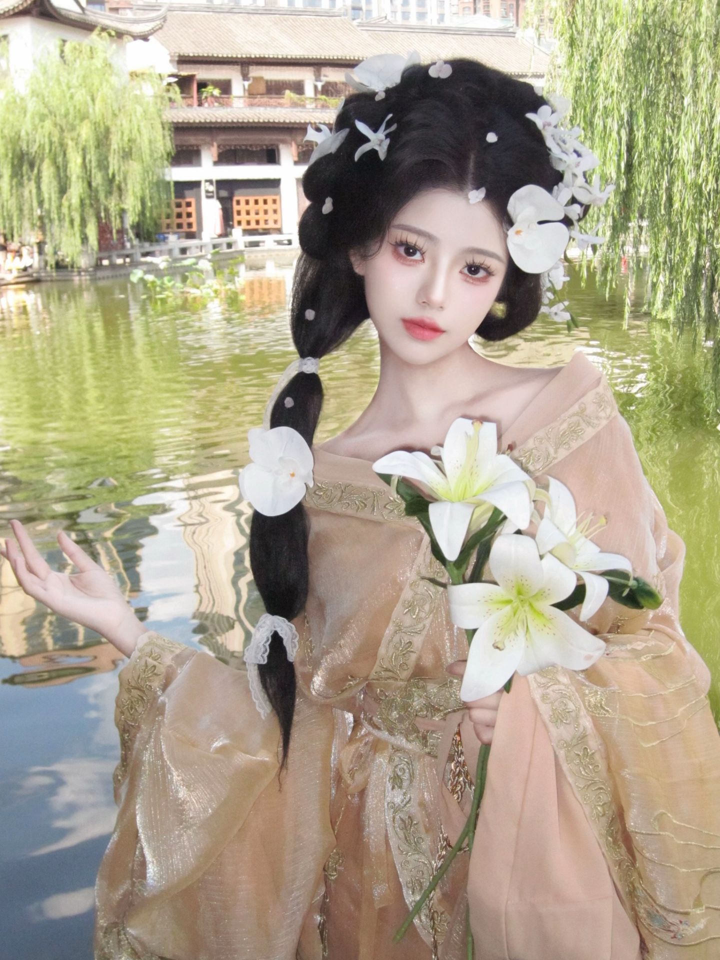 蝴蝶兰 客片 1
