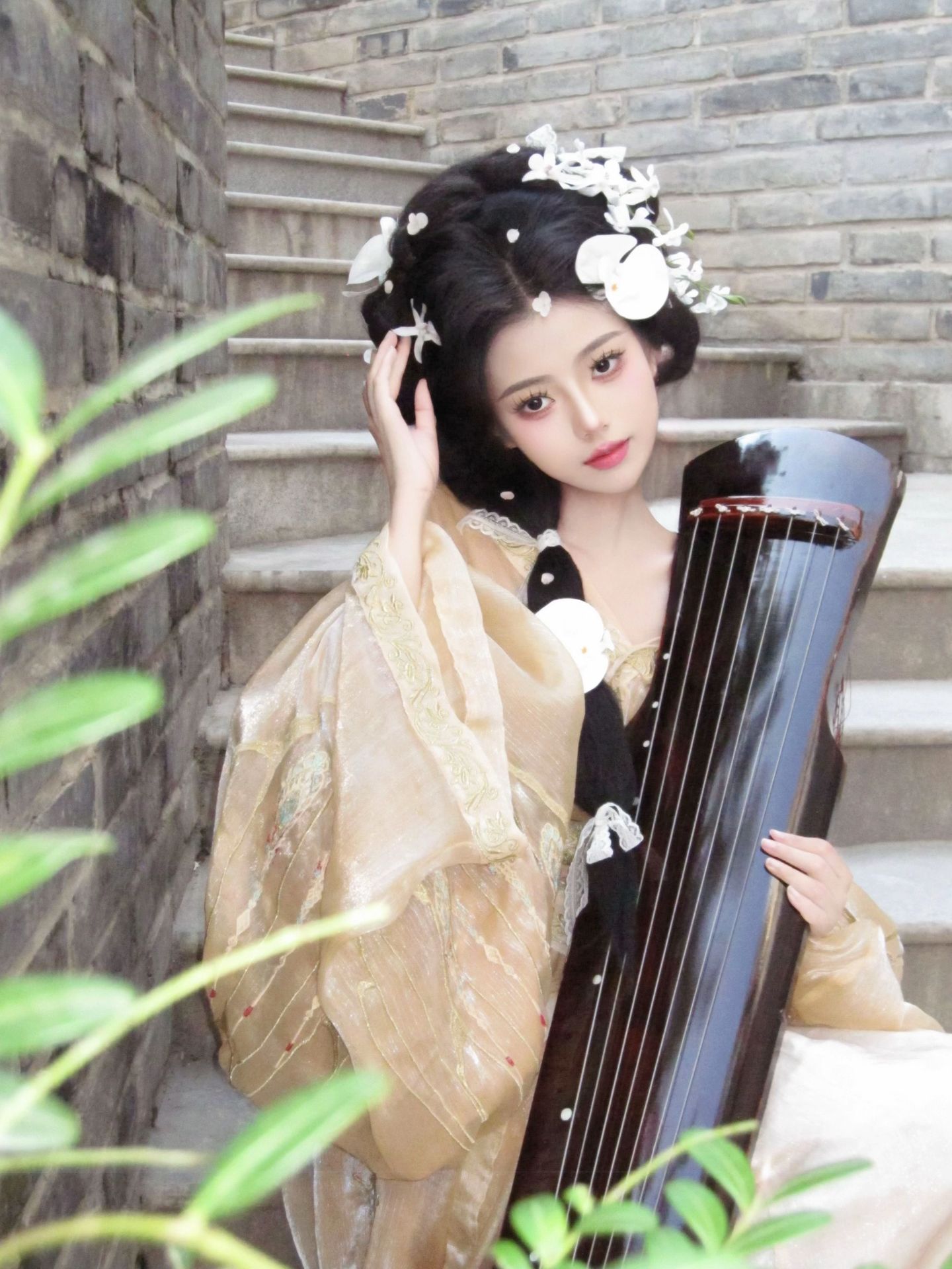 蝴蝶兰 客片 2