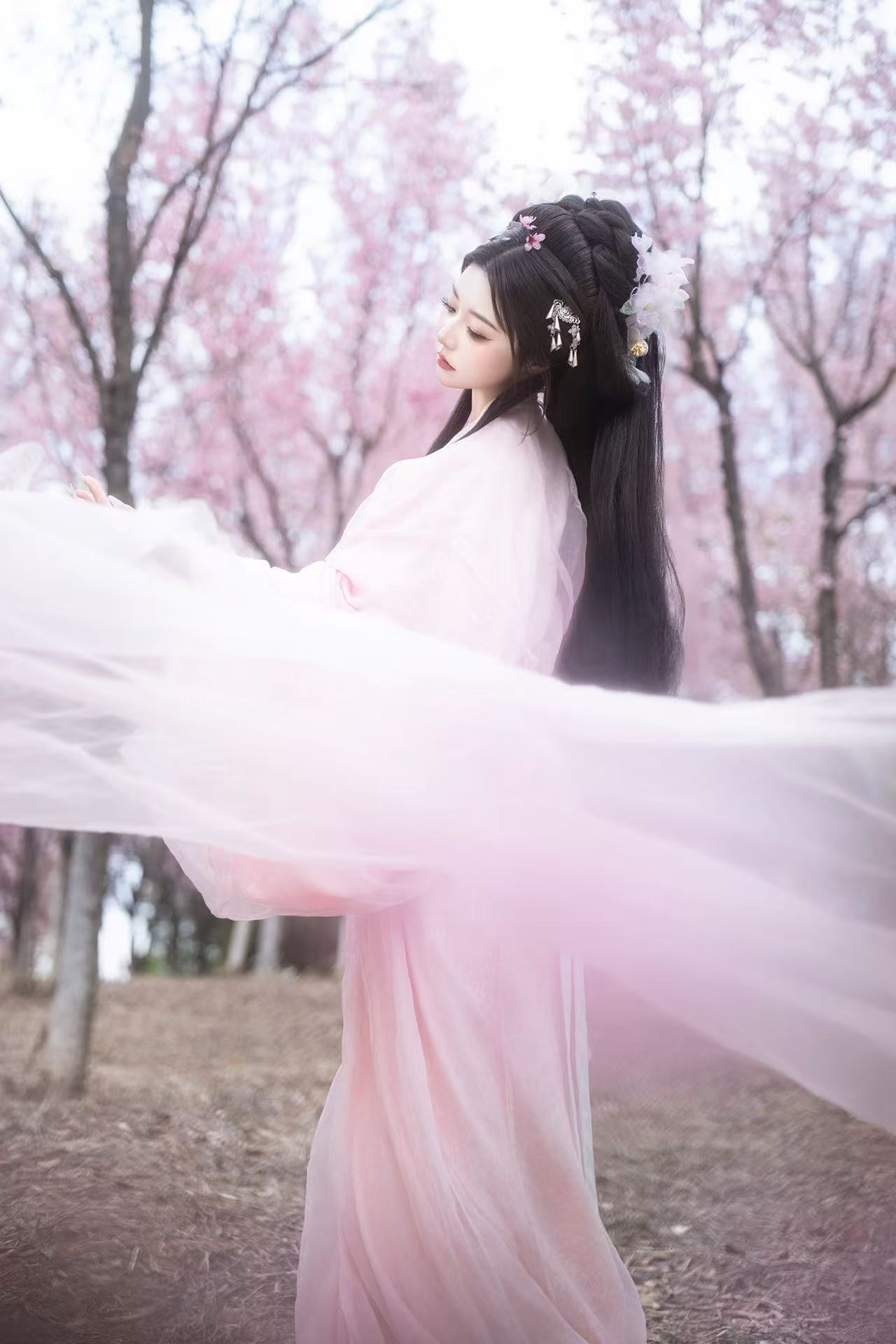 落樱 客片 2