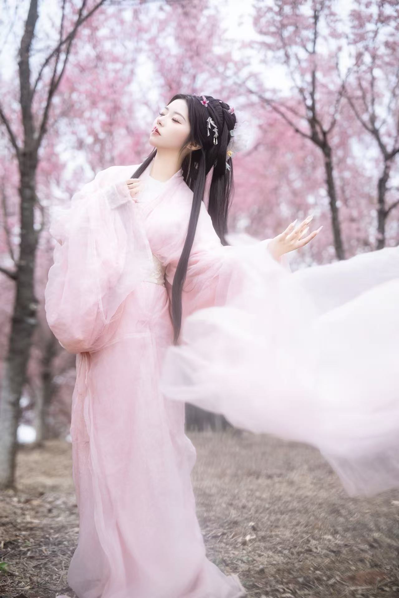 落樱 客片 1