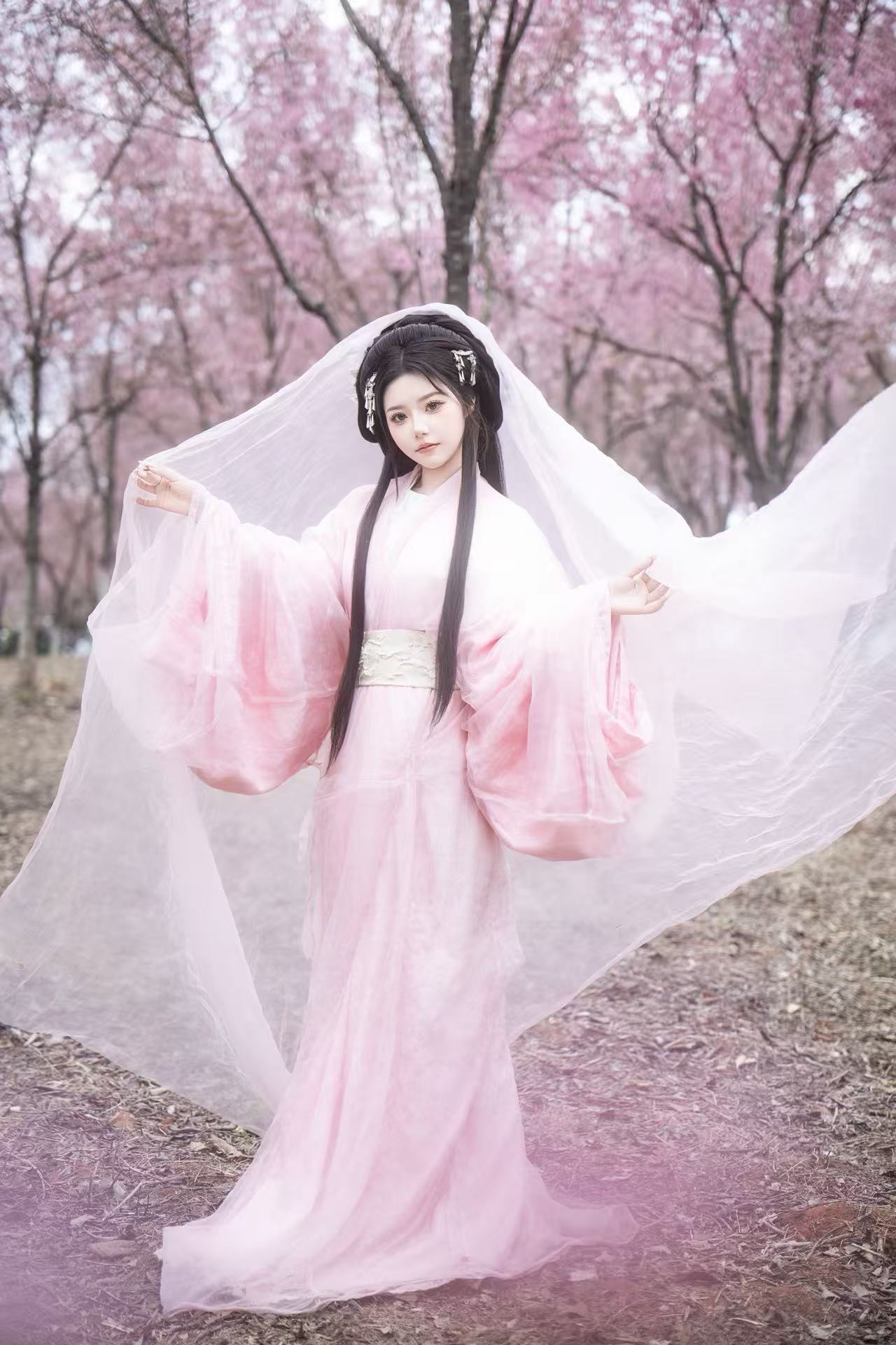 落樱 客片 3