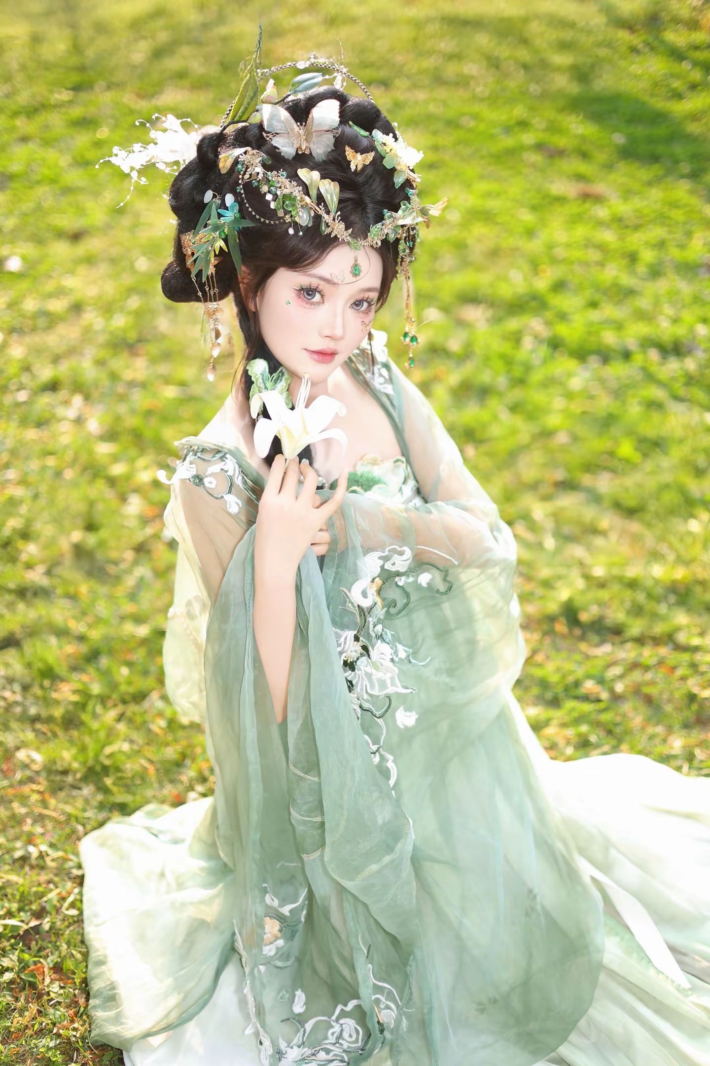 绿蝴蝶 客片 1