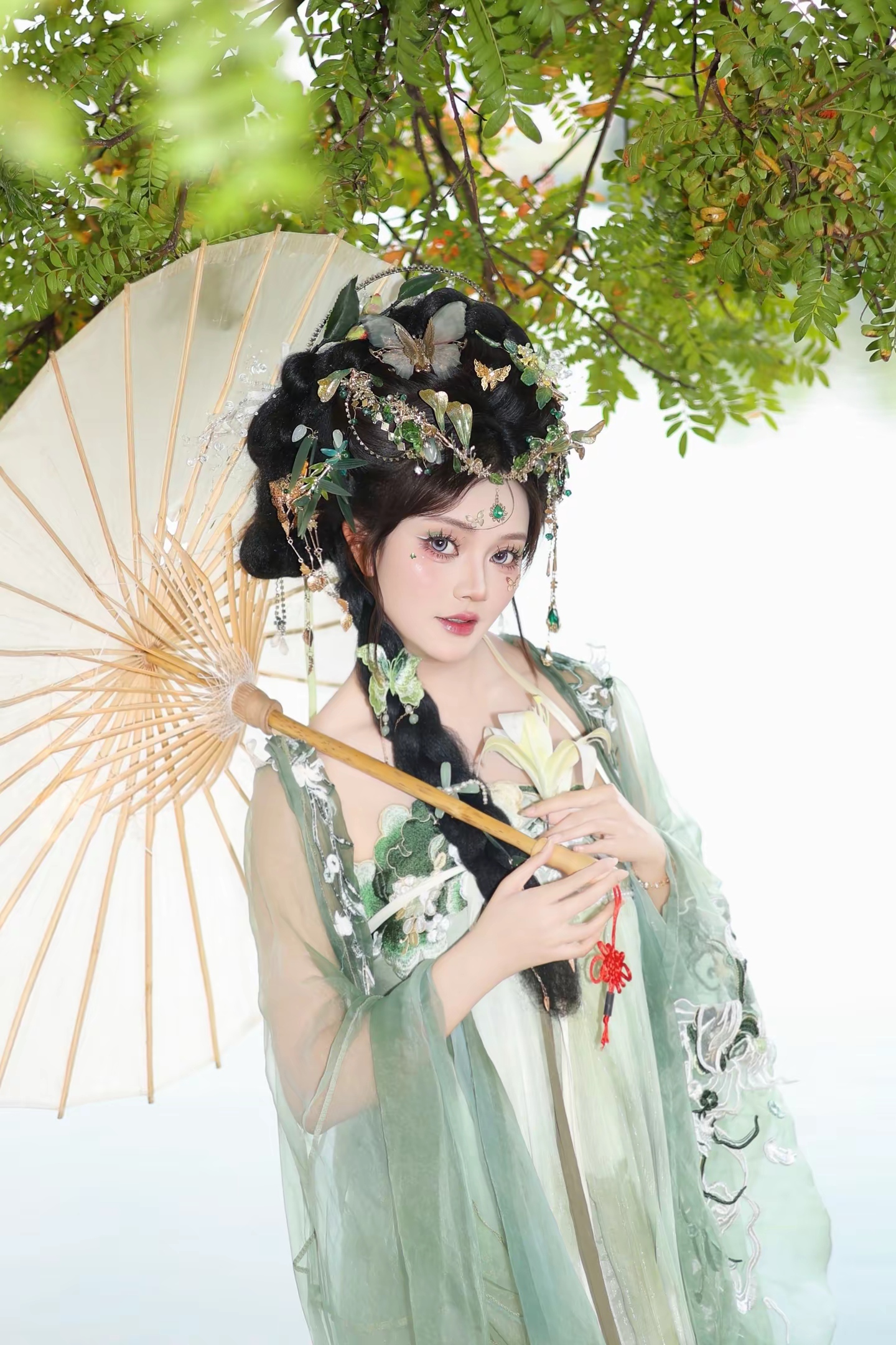 绿蝴蝶 客片 2