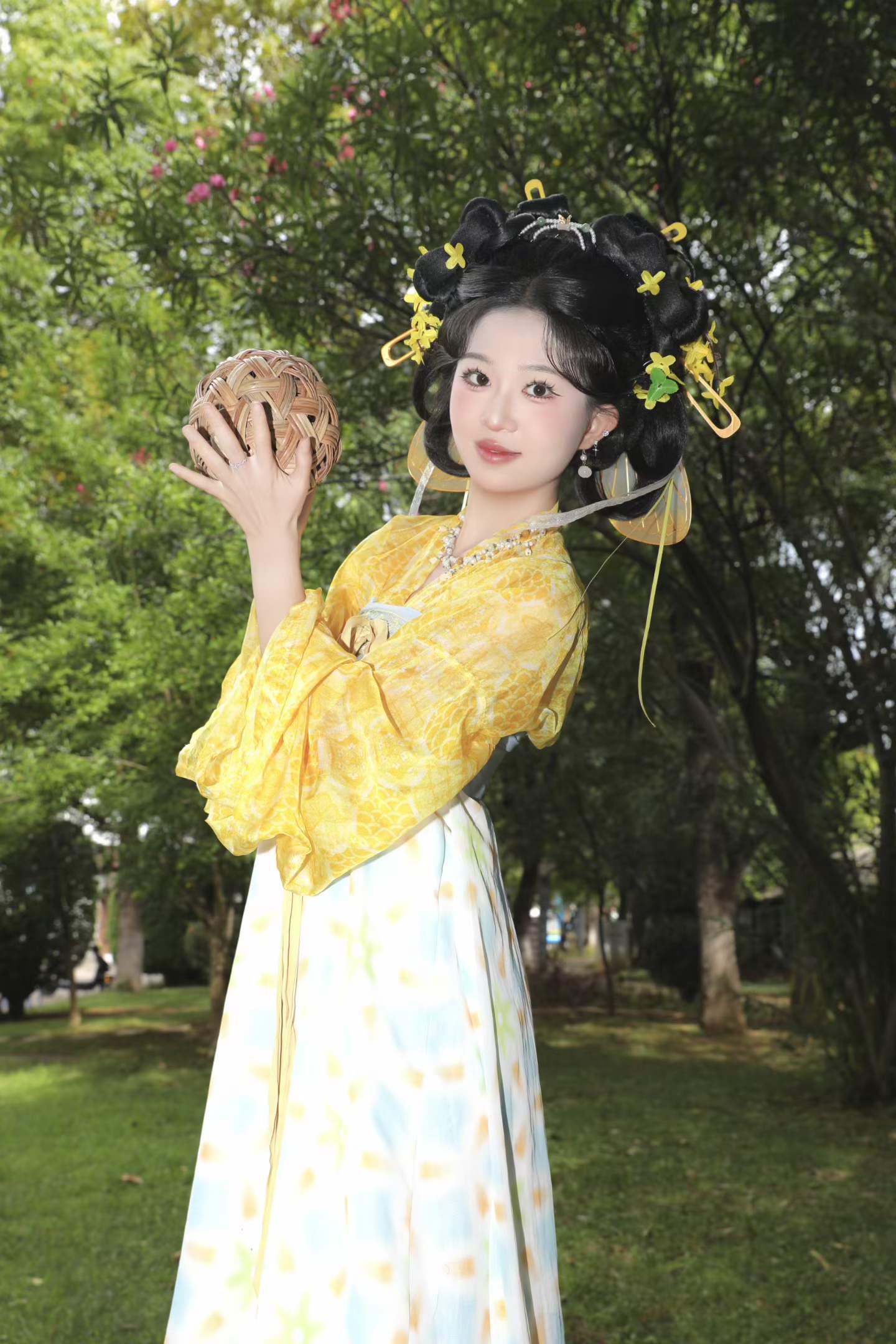 黄蝴蝶 客片 3