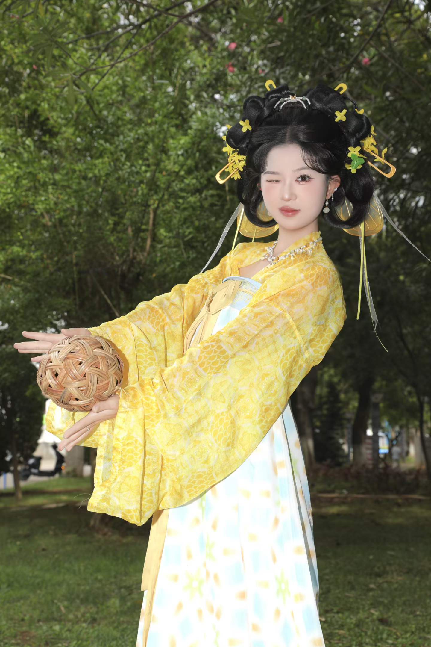 黄蝴蝶 客片 2
