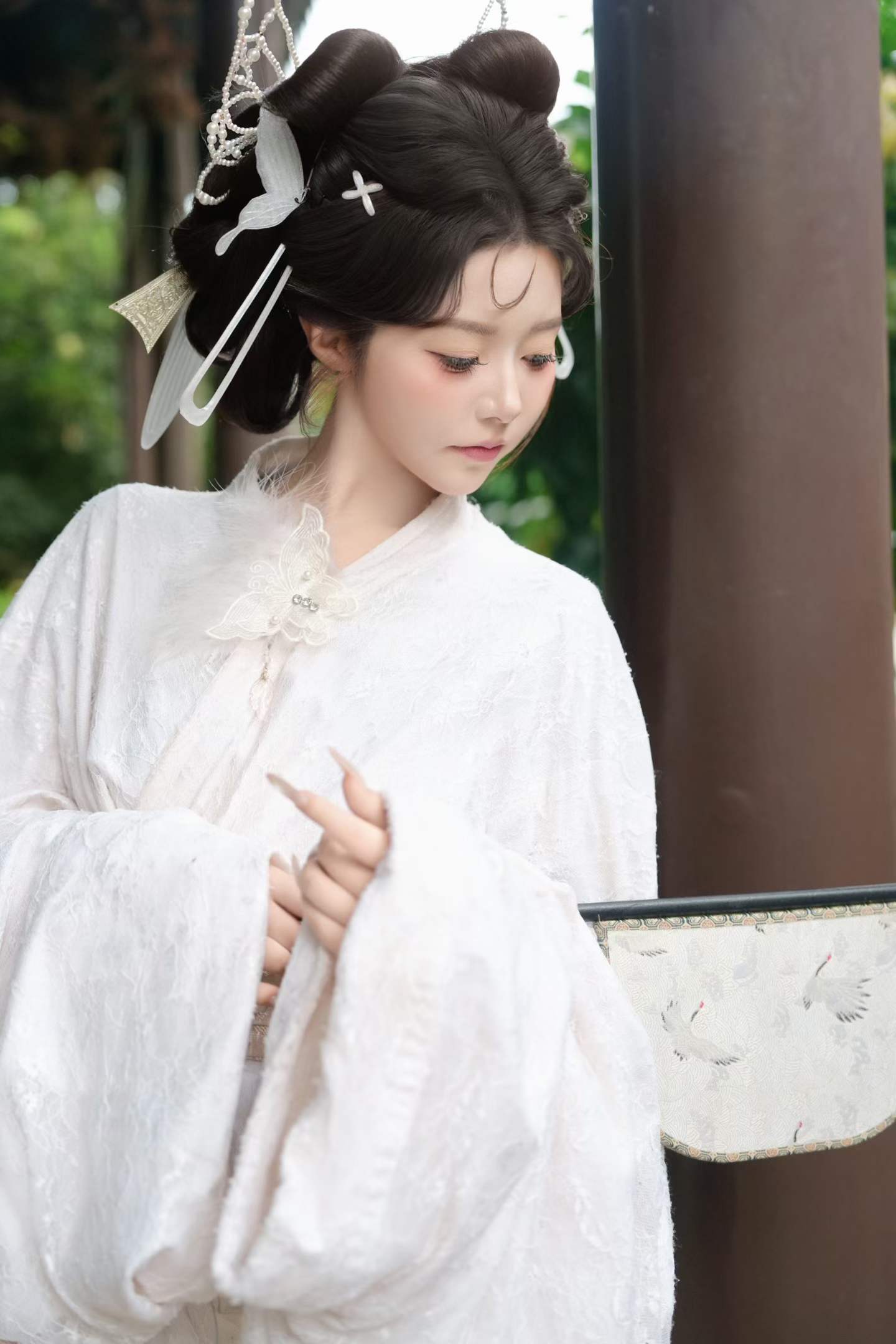 白蝴蝶 客片 3